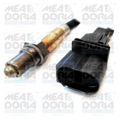 Oxygen Sensor